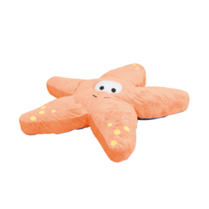 Starfish Cushion